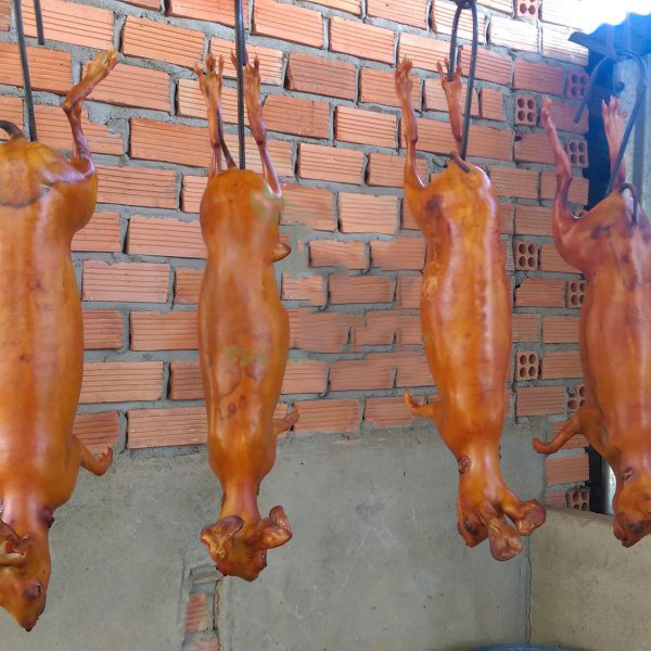 Cửa hàng bán thịt thỏ hỗ trợ thịt sẵn