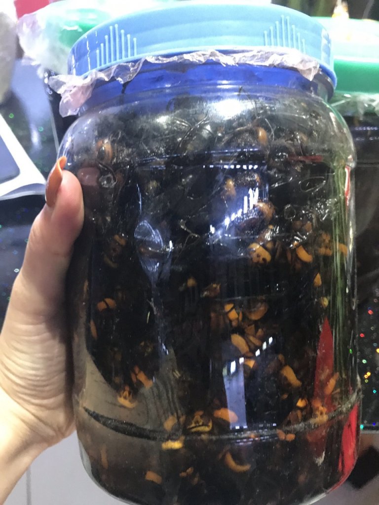 Cách ngâm rượu ong đất