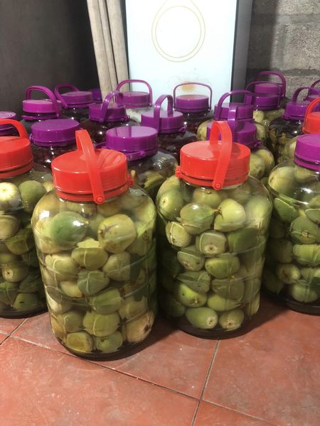 Các bài thuốc từ quả trâu cổ