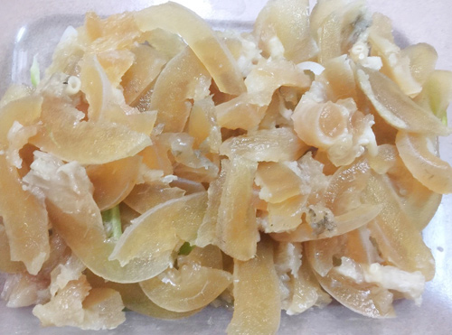 Giới thiệu về gân bò chữ Y