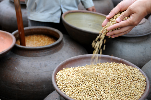 Đôi nét về Tương bần